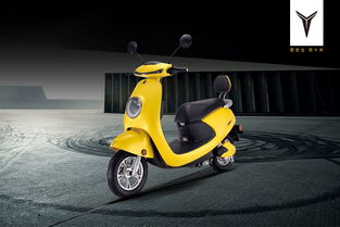 什么樣的電動車適合做批發 南京展,這個品牌有六大優勢